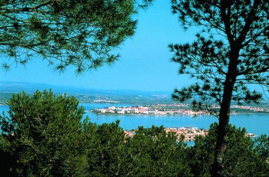 Les Oliviers Apartment Balaruc-les-Bains